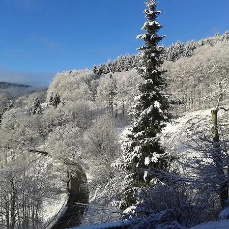 Gutshof Lilienfein - Medical Resort&herbal Spa Im Südschwarzwald Hotel
