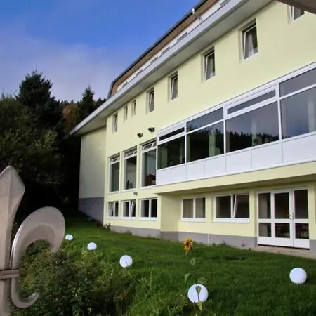 Hotel Gutshof Lilienfein - Medical Resort&herbal Spa Im Südschwarzwald 4*