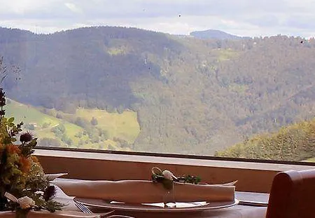 Gutshof Lilienfein - Medical Resort&herbal Spa Im Südschwarzwald 4* Wieden